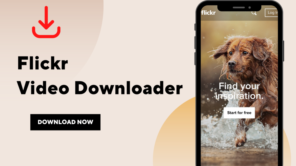 Flickr Video Downloader